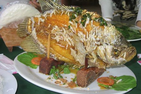 Tour Du Lịch Miền Tây Tát Mương Bắt Cá 1 Ngày